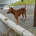 IMG_20131101_070404.jpg