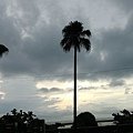 IMG_20131101_070400.jpg