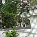 IMG_20131109_075638.jpg