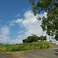 IMG_20131124_125040.jpg