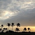 IMG_20131126_065105.jpg