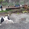 請輸入圖片標題