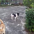 請輸入圖片標題