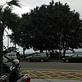 IMG_20131128_072858.jpg
