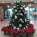 IMG_20131202_132831.jpg
