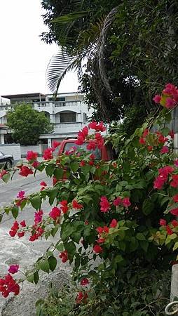 IMG_20131205_082116.jpg