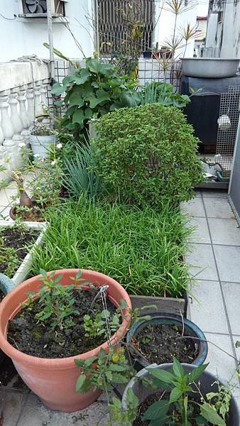 IMG_20140405_062143