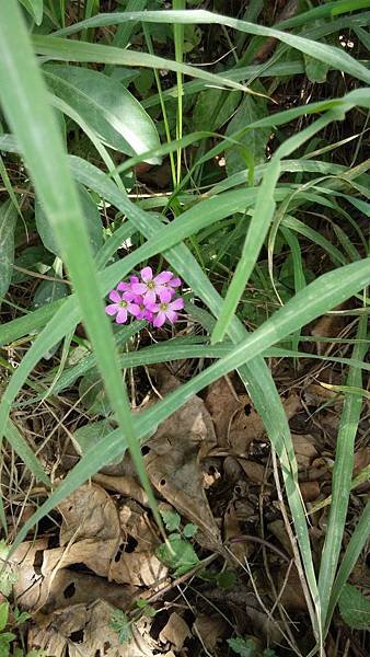 IMG_20140417_140900