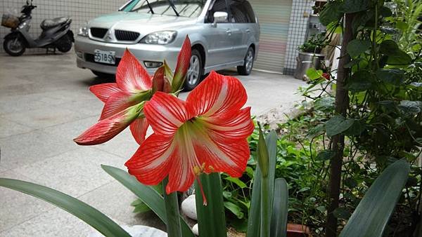 IMG_20140417_133928