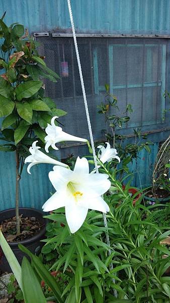 IMG_20140420_110522