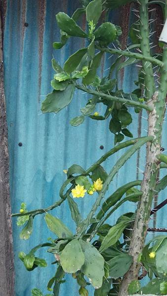 IMG_20140420_110622