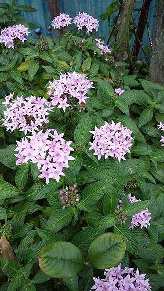 IMG_20140420_110636