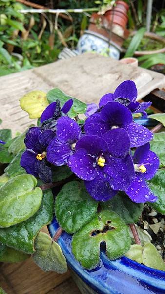 IMG_20140420_135800