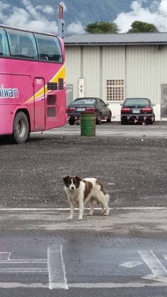 IMG_20140508_084406
