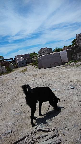 IMG_20140706_104758
