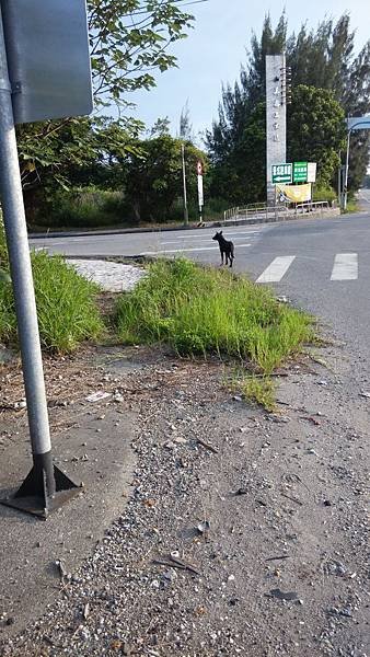 IMG_20140926_065020
