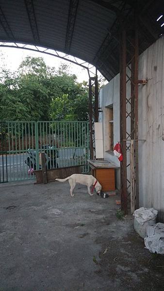 IMG_20141101_171202