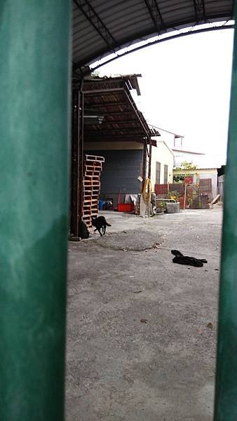 IMG_20150118_081853