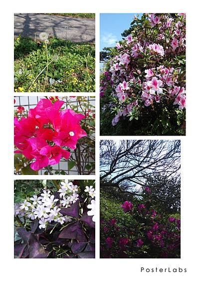 HBGC_20150303211844