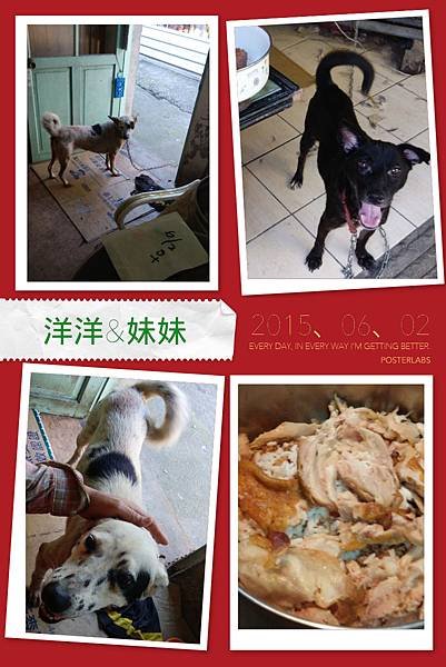 HBGC_20150602090521