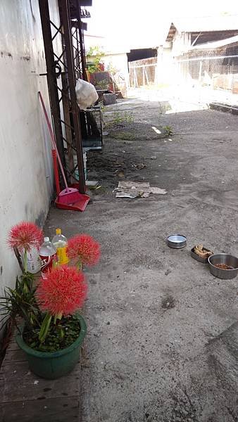 IMG_20150603_082531