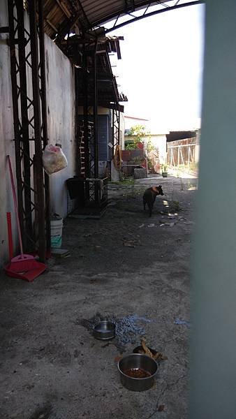 IMG_20150605_082158