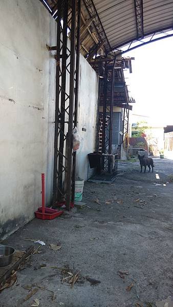IMG_20150615_083041