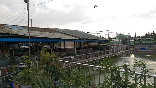 IMAG5745