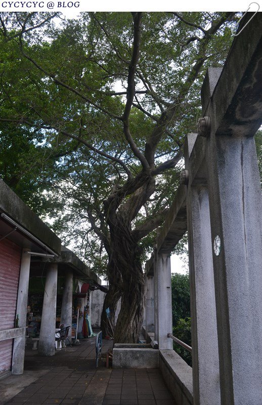 山頂路旁有處小小公園