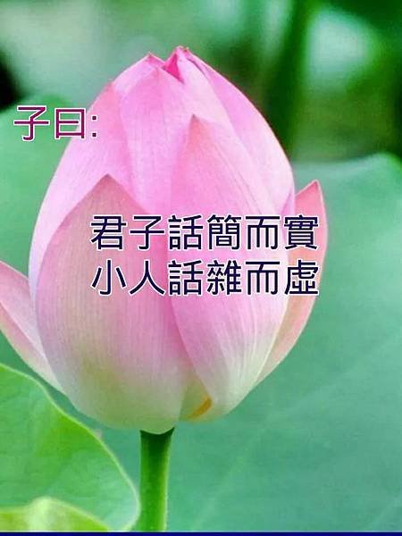 子曰