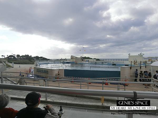 CIMG1079.jpg