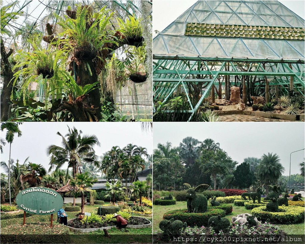 2024 15 Horizon Village &amp; Resort Center Point Dome1+Cactus &amp; Succulent Garden.jpg