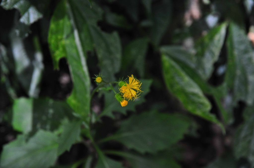 DSC_0281