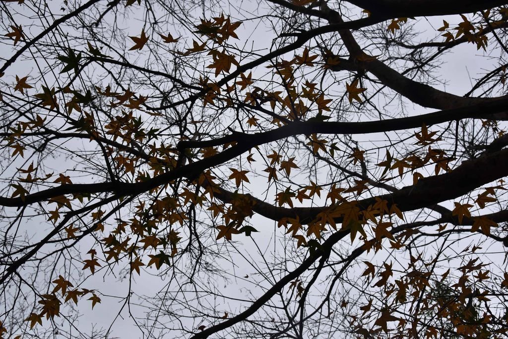 DSC_5662