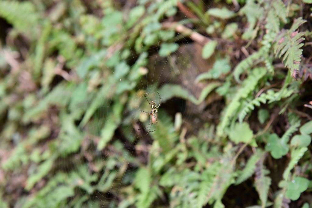 _DSC6271
