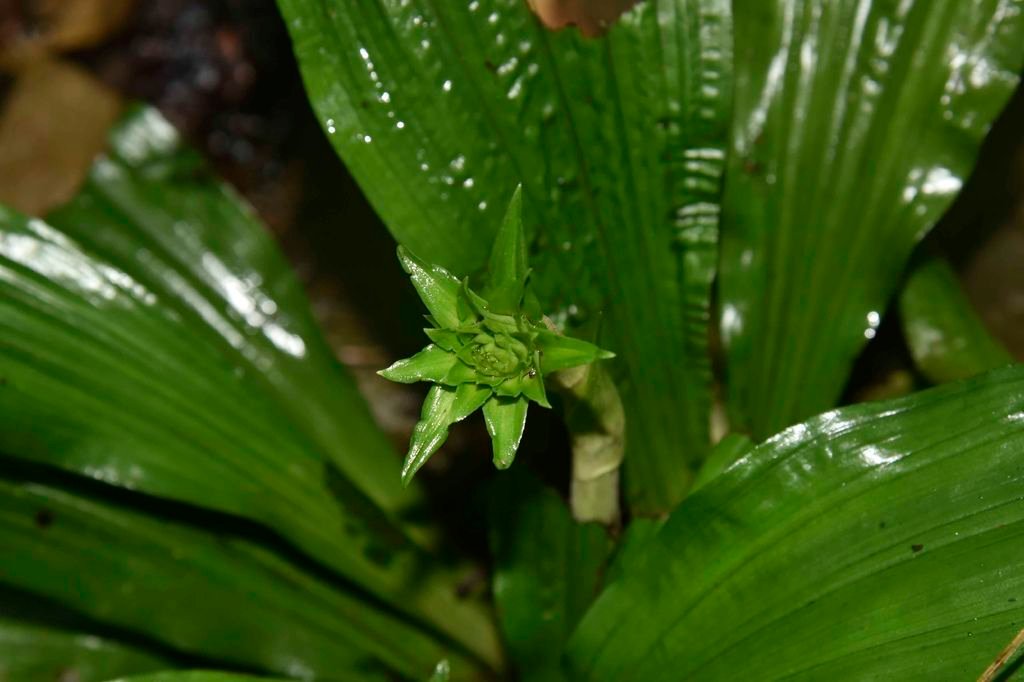 _DSC9230