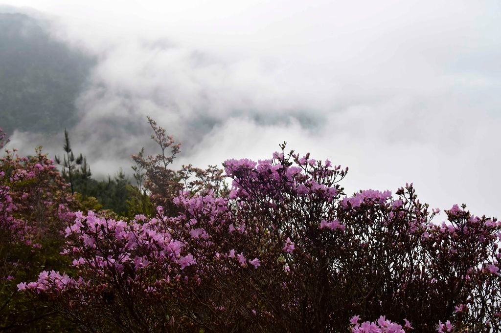 _DSC9999