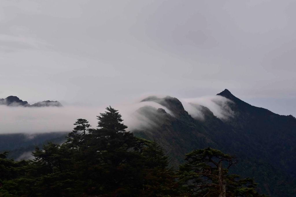 _DSC0015
