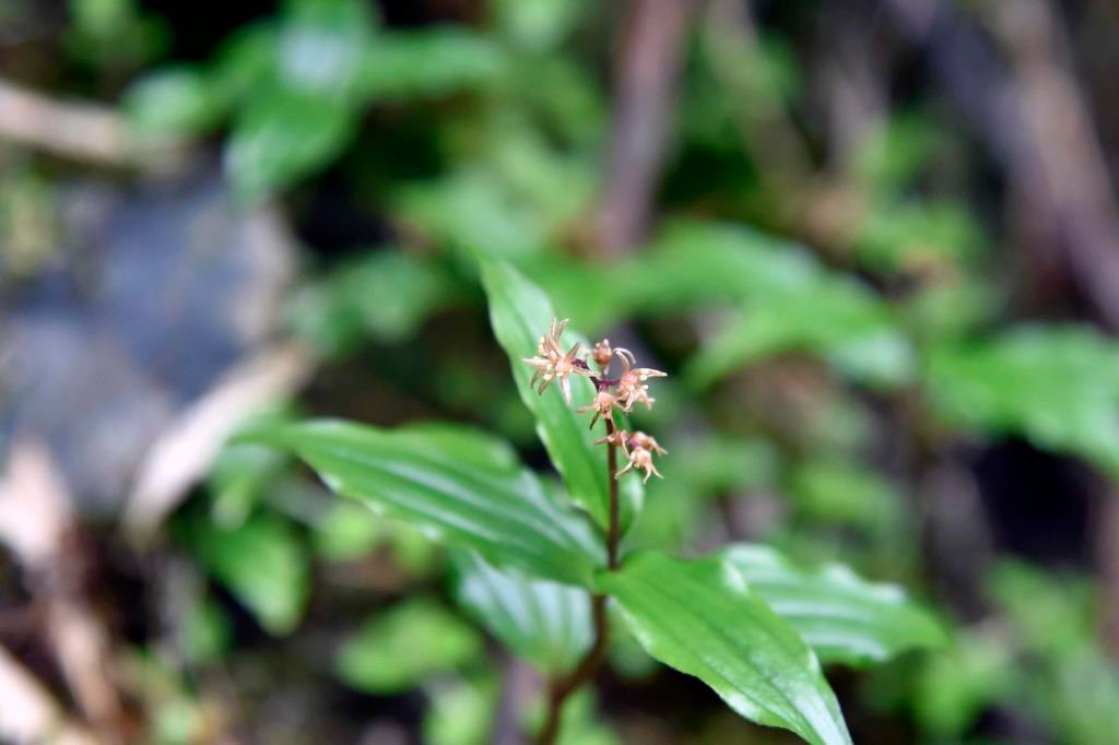 _DSC0039