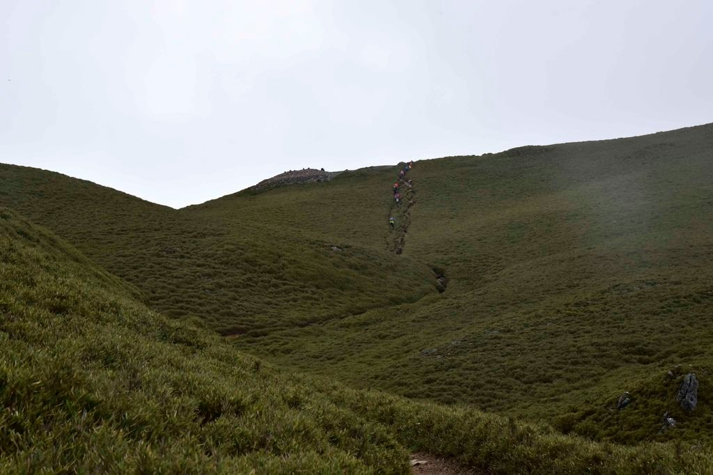 _DSC0129