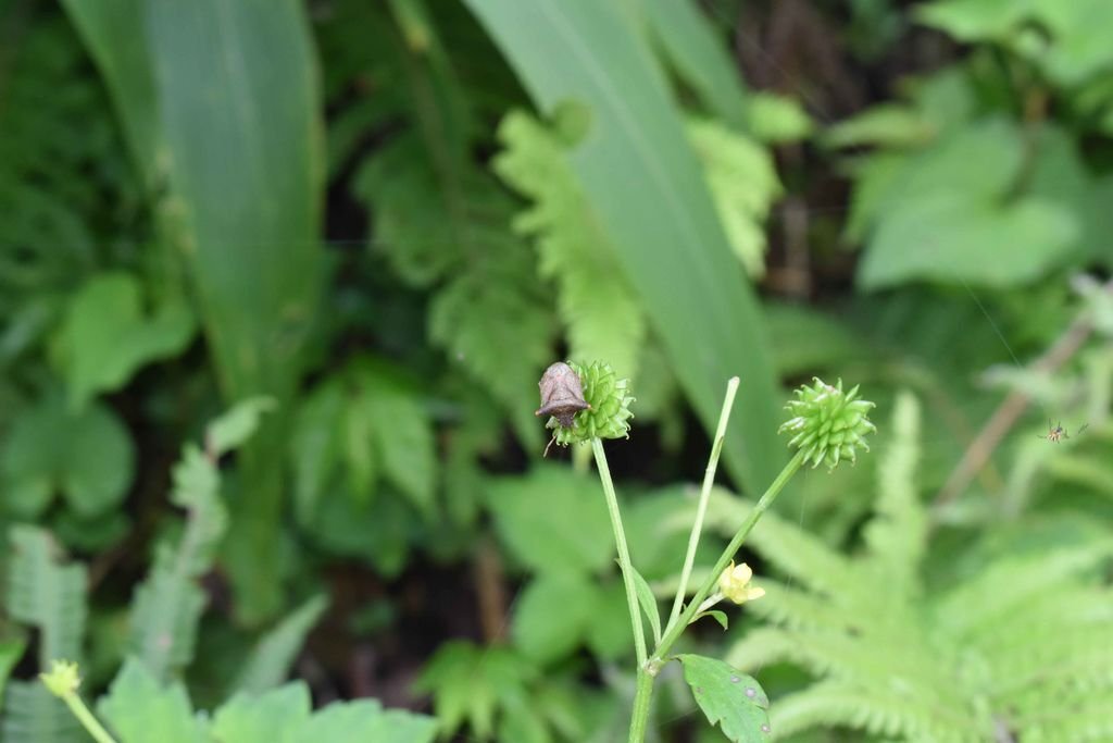 DSC_0064
