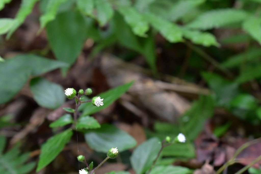 DSC_0913