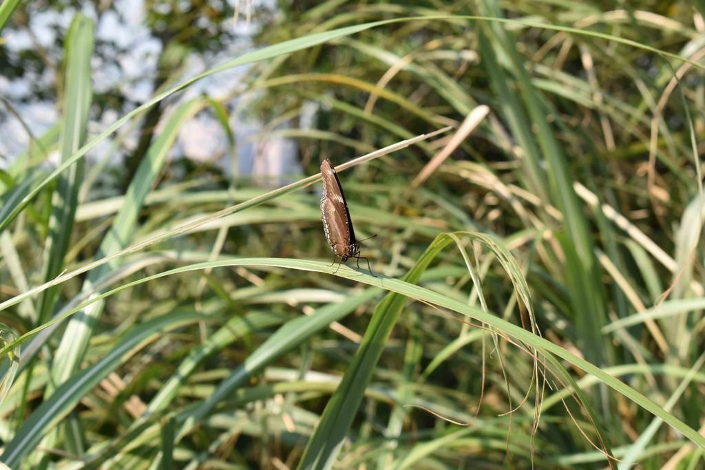 DSC_0797