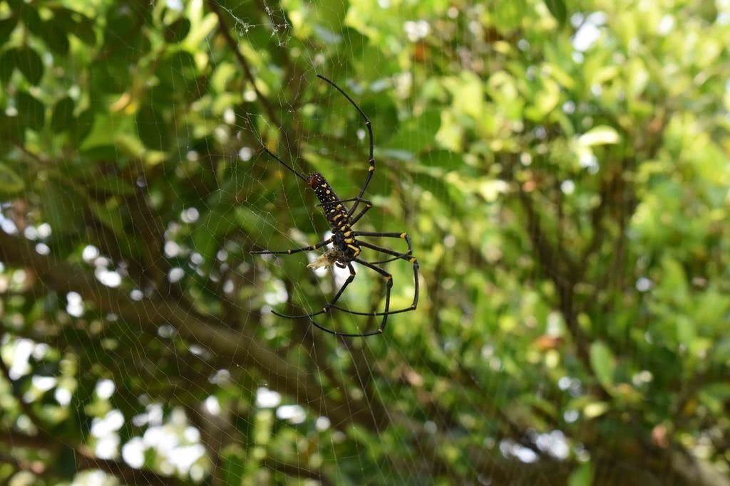 DSC_0826