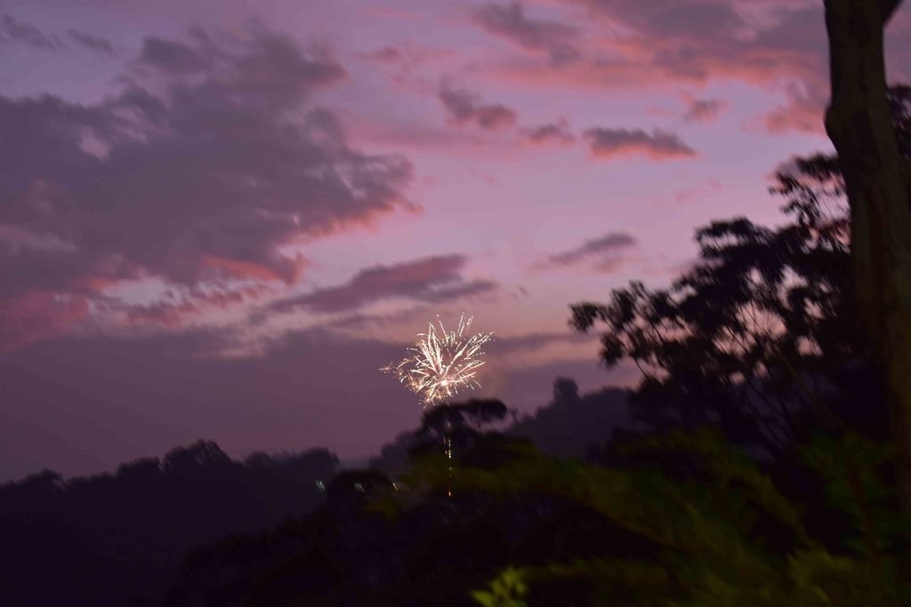 DSC_0149