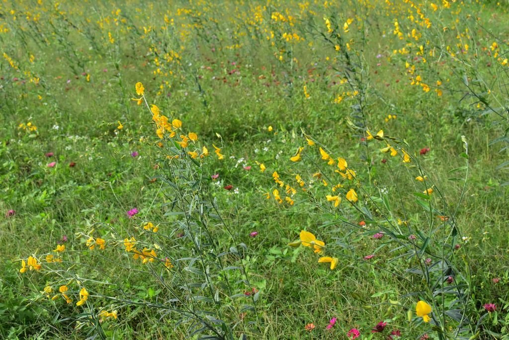 DSC_0280