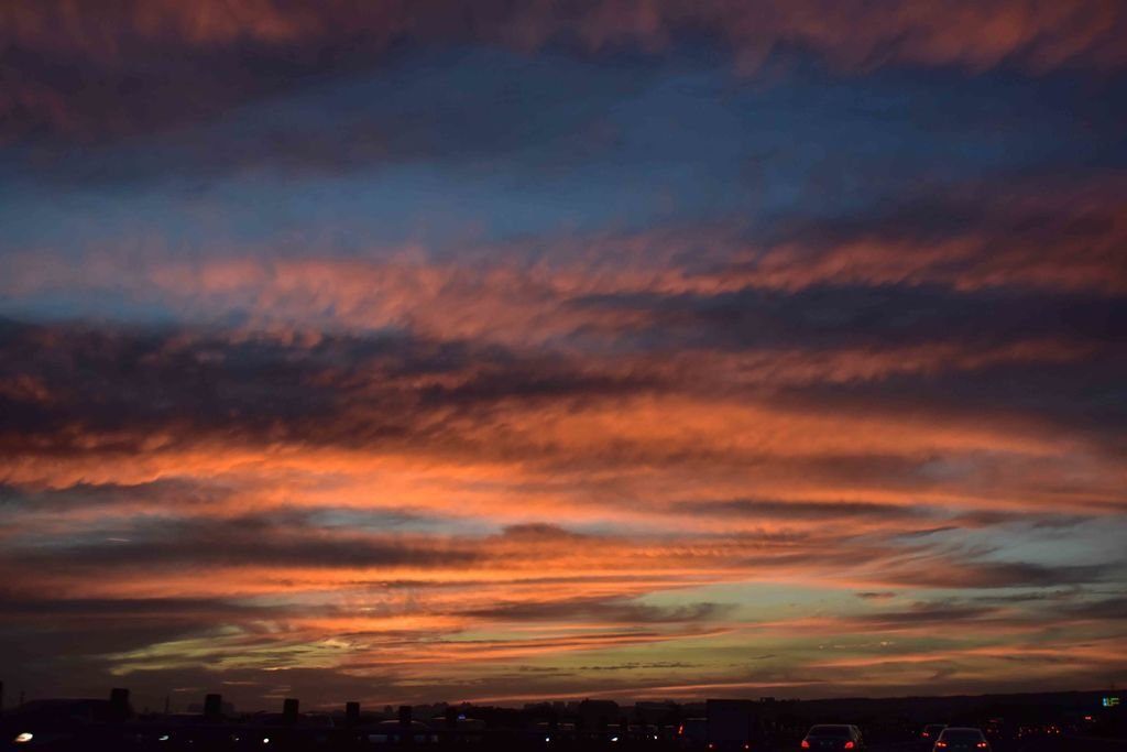 DSC_0292