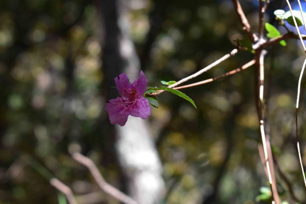 DSC_0067