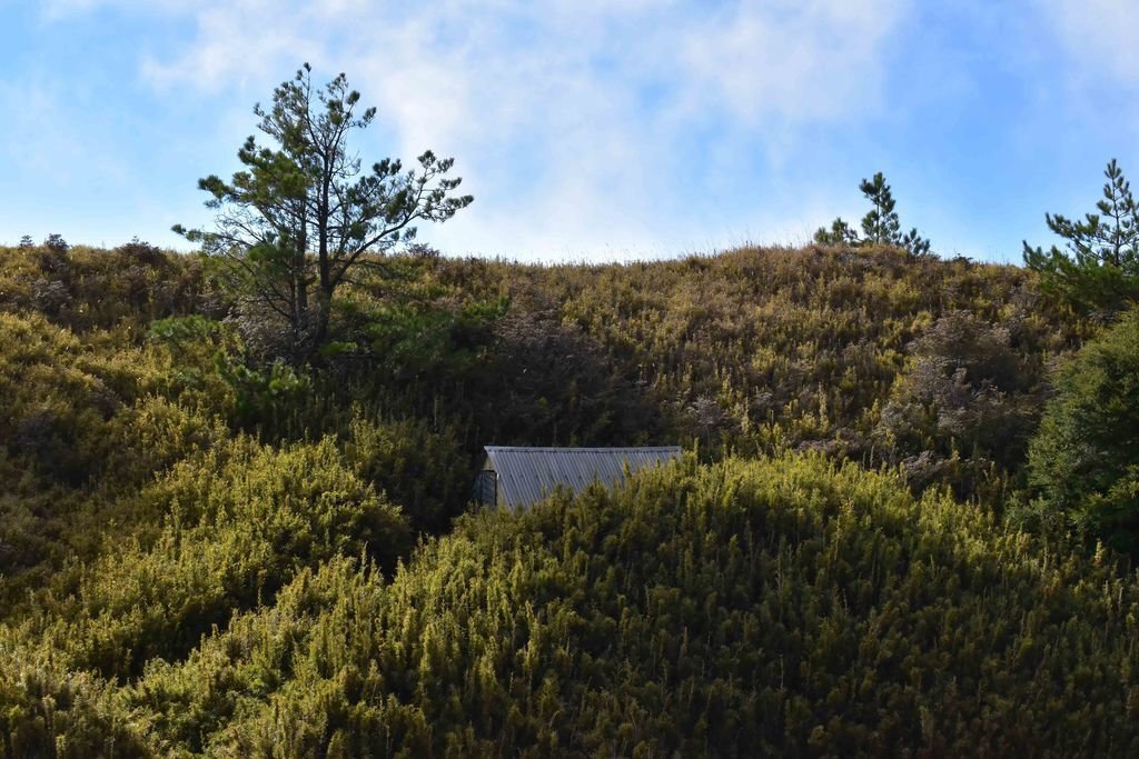 DSC_0185