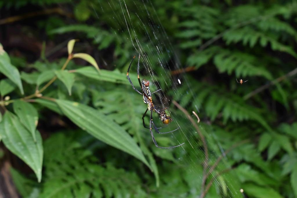 DSC_0360.jpg